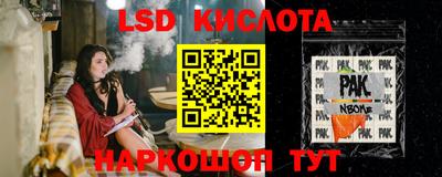 шишки Бузулук